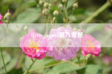 百色第九金是