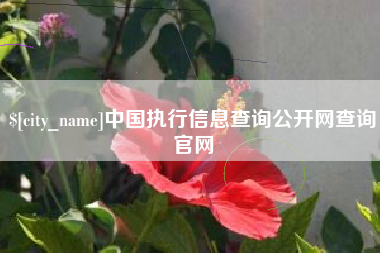 百色中国执行信息查询公开网查询官网