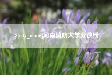 百色河南消防大学分数线