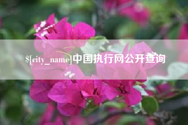 百色中国执行网公开查询