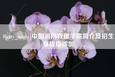 百色中国消防救援学院简介及招生章程指挥部