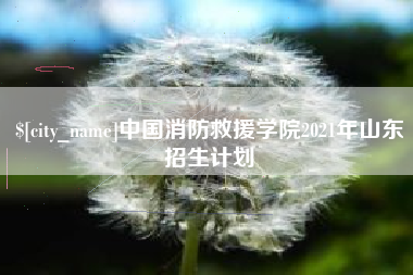 百色中国消防救援学院2021年山东招生计划