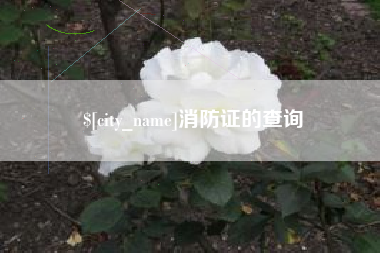 百色消防证的查询