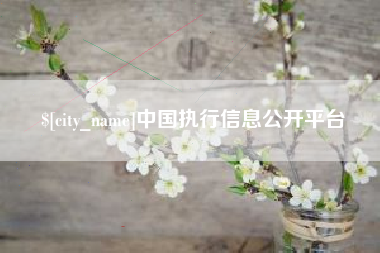 百色中国执行信息公开平台