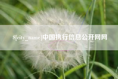 百色中国执行信息公开网网