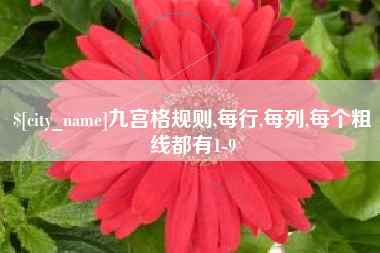 百色九宫格规则,每行,每列,每个粗线都有1-9