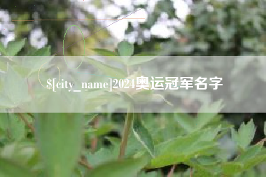 百色2024奥运冠军名字