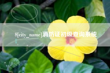 百色消防证初级查询系统
