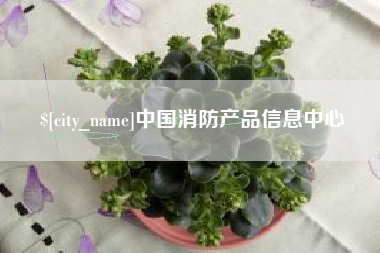 百色中国消防产品信息中心