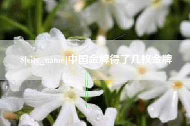 百色中国金牌得了几枚金牌