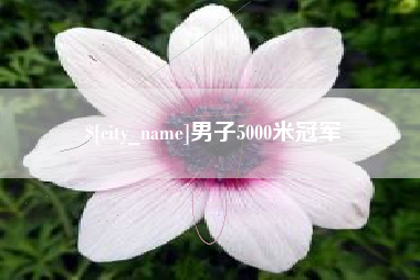 百色男子5000米冠军