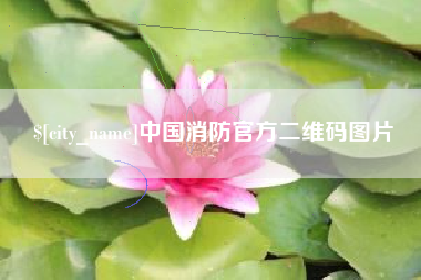 百色中国消防官方二维码图片