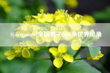 百色全国男子5000米世界纪录