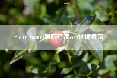 百色消防产品cccf认证目录
