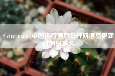 百色中国执行信息公开网信息更新时间是多久