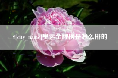 百色奥运金牌榜是怎么排的