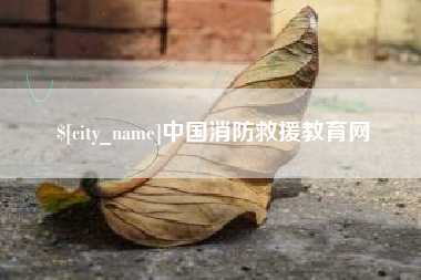 百色中国消防救援教育网