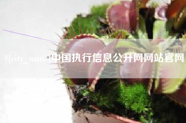 百色中国执行信息公开网网站官网