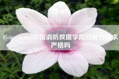 百色中国消防救援学院对视力要求严格吗