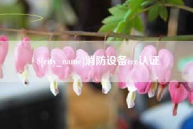 百色消防设备ccc认证