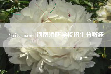 百色河南消防学校招生分数线