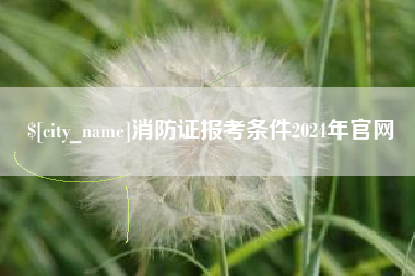 百色消防证报考条件2024年官网
