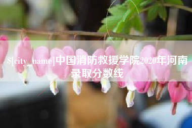 百色中国消防救援学院2020年河南录取分数线