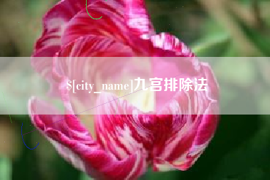 百色九宫排除法