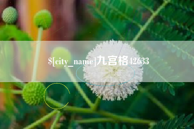 百色九宫格42633