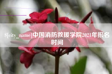 百色中国消防救援学院2021年报名时间