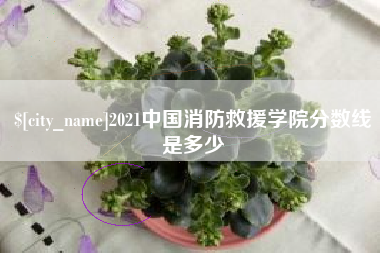 百色2021中国消防救援学院分数线是多少