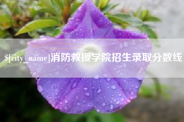 百色消防救援学院招生录取分数线
