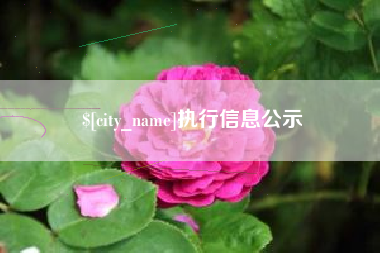 百色执行信息公示