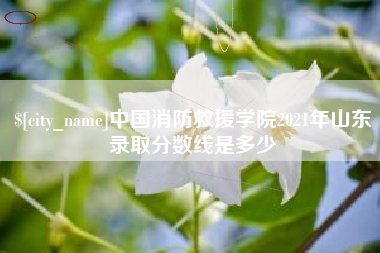 百色中国消防救援学院2021年山东录取分数线是多少