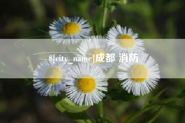 百色成都 消防