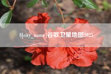 百色谷歌卫星地图2025