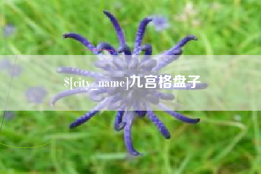 百色九宫格盘子