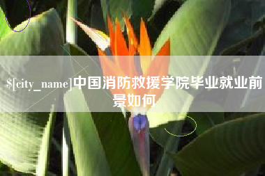 百色中国消防救援学院毕业就业前景如何