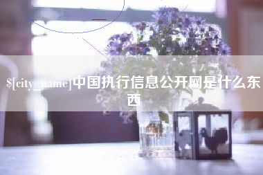 百色中国执行信息公开网是什么东西