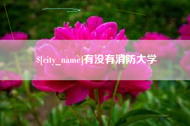 百色有没有消防大学