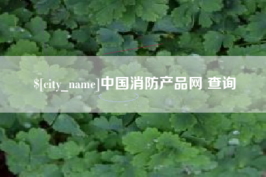 百色中国消防产品网 查询