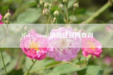 百色消控证官网查询