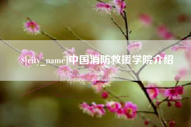 百色中国消防救援学院介绍