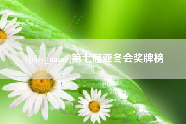 百色第七届亚冬会奖牌榜
