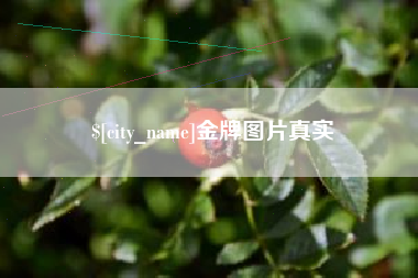 百色金牌图片真实