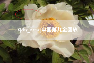 百色中国第九金回放
