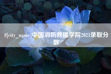 百色中国消防救援学院2021录取分数