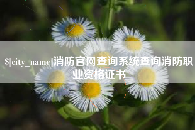 百色消防官网查询系统查询消防职业资格证书