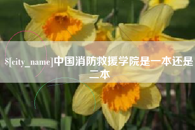 百色中国消防救援学院是一本还是二本