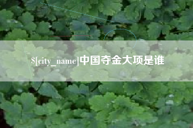 百色中国夺金大项是谁